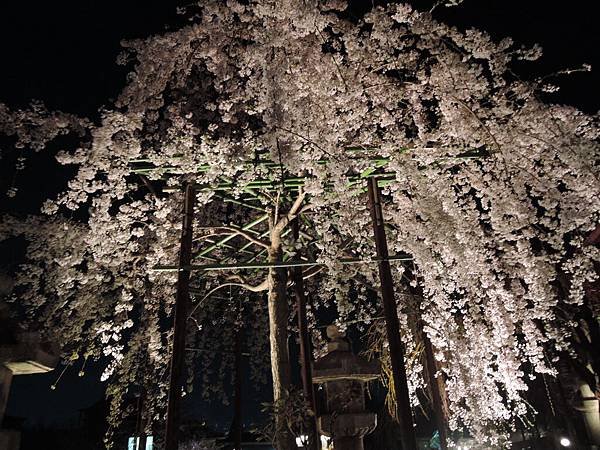 DSCN6517.JPG