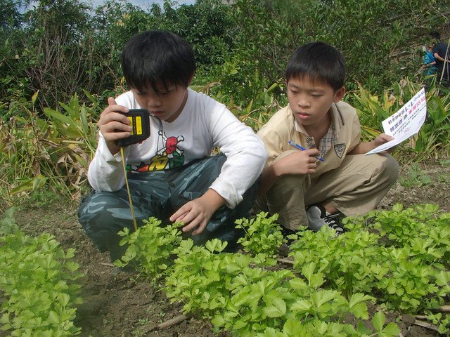 新竹市安親班-芹菜的成長小故事