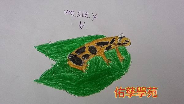 新竹市安親班-水塘裡的青蛙專題研究
