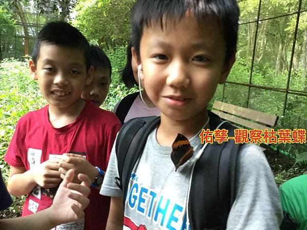 新竹市安親班-佑孳學苑昆蟲小教室(4下自然)