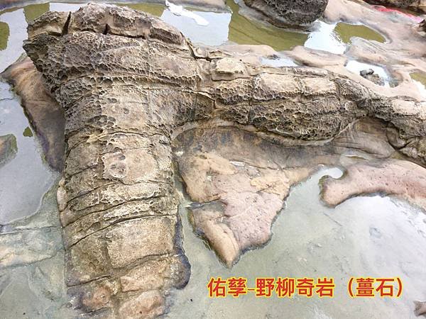 新竹市安親班-自然探索野柳地質教學(2)(5下自然)