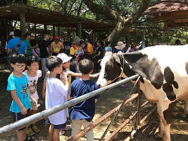 新竹市安親班-佑孳埔心牧場牧童趣