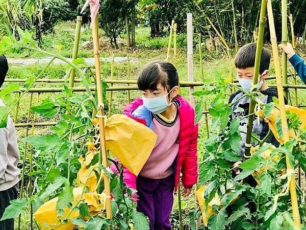 新竹市安親班-佑孳開心農場