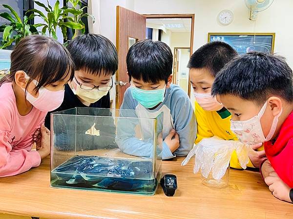 跟著國語課本旅行趣--三峽老街樂藍染