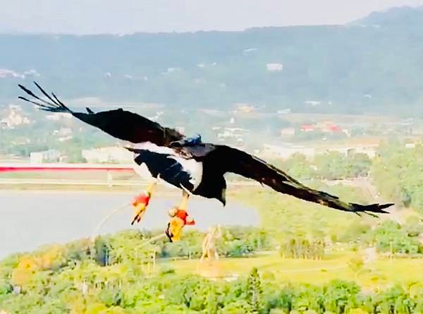 佑孳仿生教學-向鳥兒學飛翔