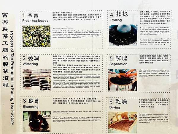 2023佑孳學苑夏令營