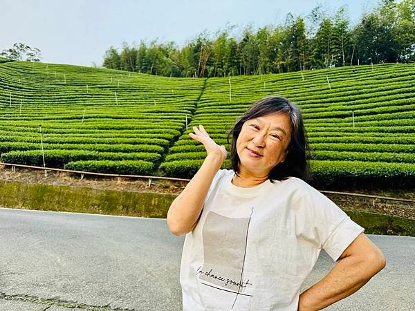 季節限定-深山夢幻的金色花園(銀杏)