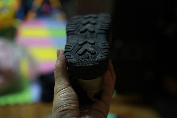 IMG_6023P24.jpg