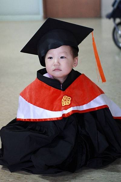 P53.jpg