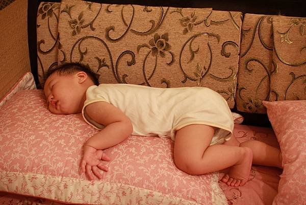 IMG_6746P152.jpg