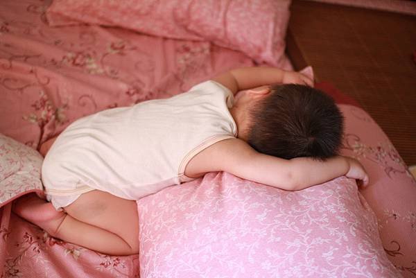 IMG_6750P155.jpg