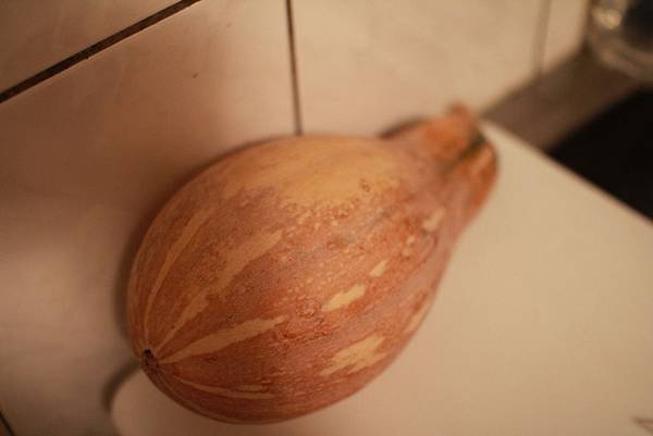 P02.jpg