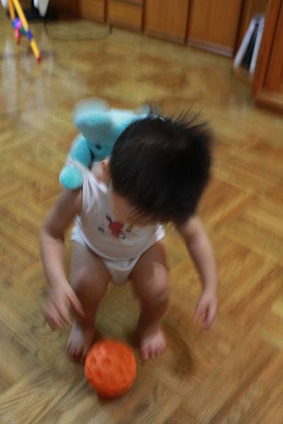 IMG_8105P02.jpg