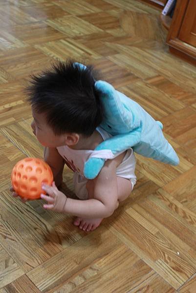 IMG_8111P06.jpg