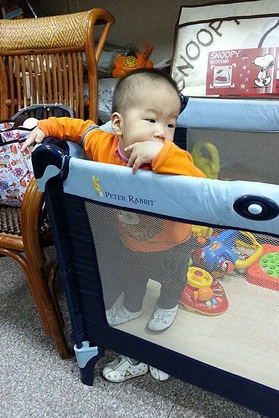 20130405_112752_7_bestshotP40