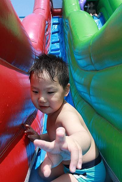 IMG_8128P50
