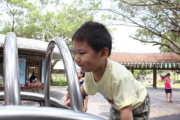 IMG_0765P73.jpg