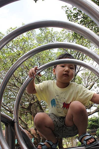 IMG_0766P74.jpg