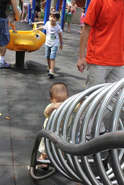 IMG_0768P75.jpg