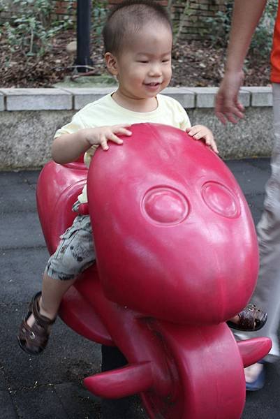 IMG_0776P81.jpg