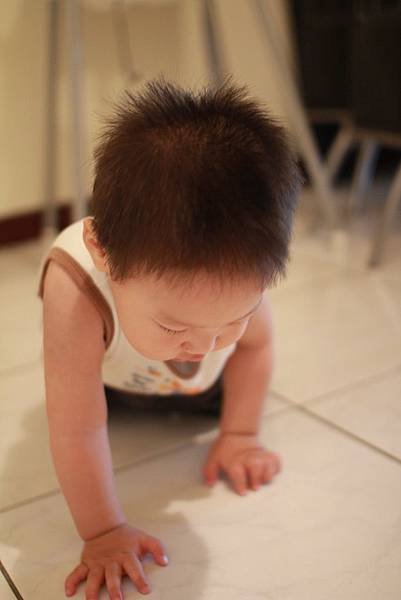 IMG_5770P40.jpg