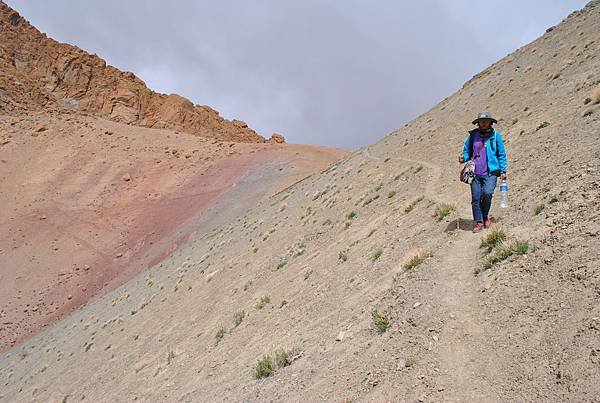 DSC_0423.JPG