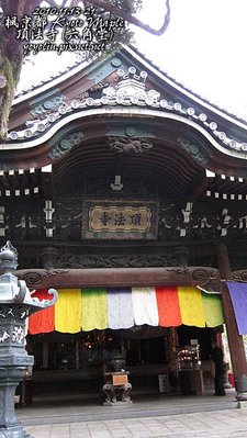 p_IMG_4205.jpg