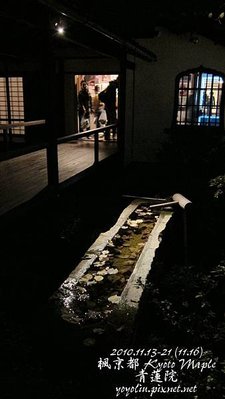 p_IMG_4887.jpg