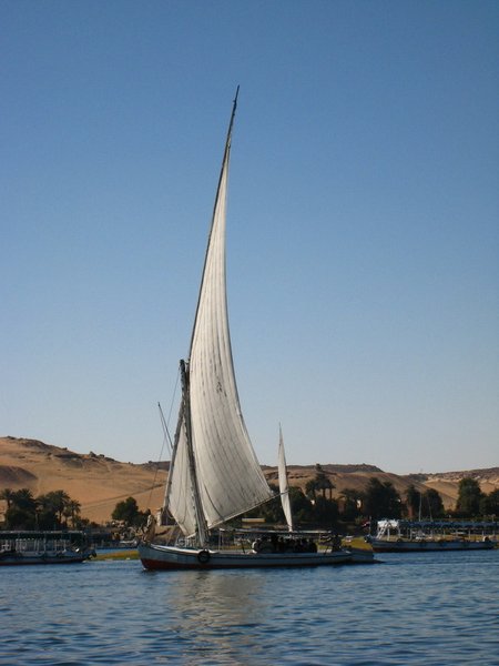 Felucca