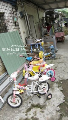 p_IMG_2725.jpg