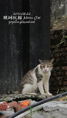 p_IMG_2715.jpg