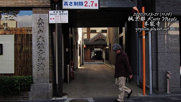p_IMG_4837.jpg