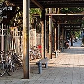 a_P5290079.jpg