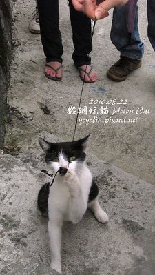 p_IMG_2738.jpg