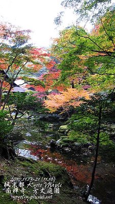 p_IMG_4665.jpg