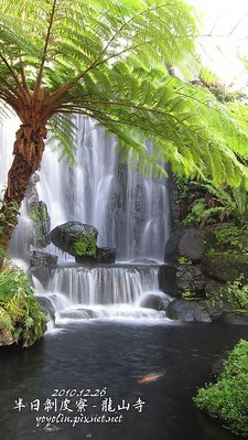 S_p_IMG_6559.jpg