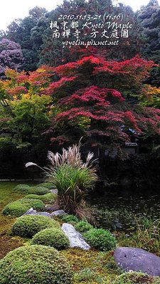 p_IMG_4668.jpg