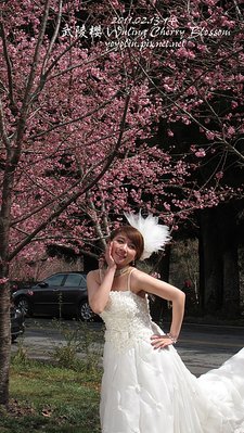 p_IMG_7096.jpg