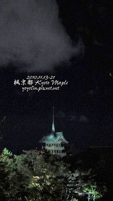 p_IMG_4528.jpg