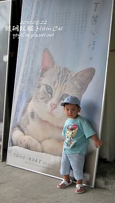 p_IMG_2790.jpg