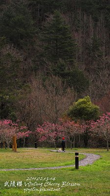p_IMG_7089.jpg