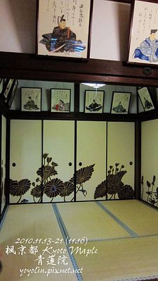 p_IMG_4889.jpg
