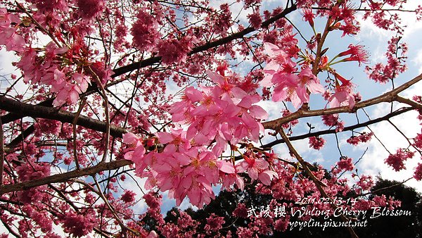 p_IMG_7093.jpg