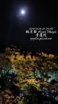 p_IMG_4906.jpg