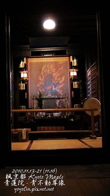 p_IMG_4916.jpg