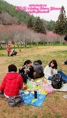 p_IMG_7113.jpg