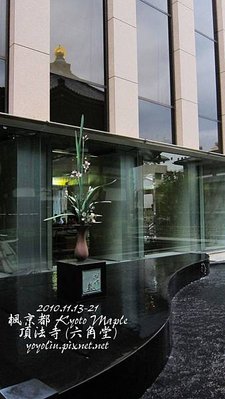 p_IMG_4221.jpg