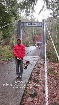 p_IMG_7168.jpg
