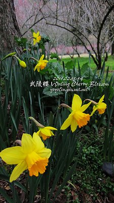 p_IMG_7116.jpg