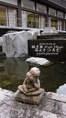 p_IMG_4211.jpg